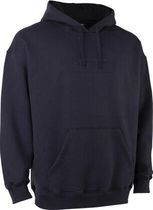 Hoody Ionic Men