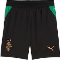 Puma SFV Replica Match Jersey Concept GK Jr Kinder T-Shirt für sämtliche Outdoor Aktivitäten