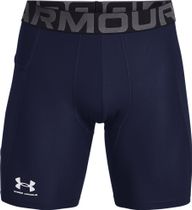 HG Armour Shorts