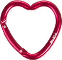 Salewa Heart Carabiner