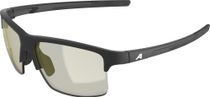 Alpina Eagle Q-lite Bike Brille