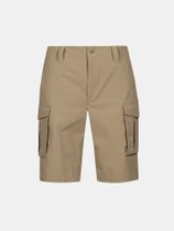 Roams M Shorts
