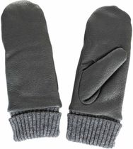 Whistler Chictini W Leather Mittens