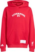 adidas Liverpool FC Kids US Hoodie