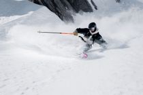 LEKI Wyldbird Vario TR