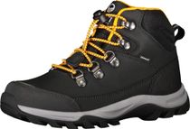 Cody Mid 2 DX Youth Shoe