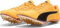 Evospeed Brush 6