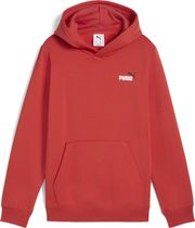 Essentials 2 Color Small No. 1 Logo Hoodie FL B