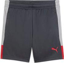 Puma Individualliga Training Shorts Jr
