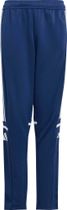 adidas SQUADRA25 Training Pant Kids