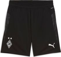 Puma BMG Training Shorts w/ Pockets Herren Laufshorts