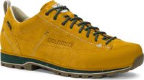 Shoe 54 Low Evo GTX
