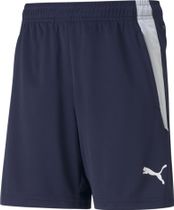 Teamliga Training Shorts Jr