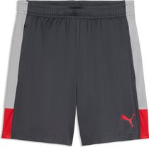 Puma Individualliga Training Shorts