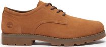 Mens Lace UP Shoe