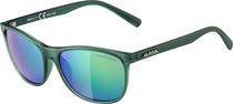 Alpina Jaida Bike Eyewear