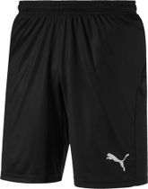 Liga Shorts Core With Brief