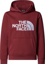 Teen Drew Peak Pullover Hoodie