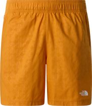 The North Face Mens 24/7 Pentadome Embossed 7IN Shorts Outdoor Shorts für