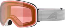 Alpina Slope V Unisex Skibrille
