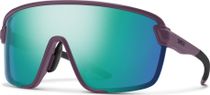 Smith Bobcat Bike Brille