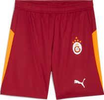 Puma GSK Shorts Replica W/Blocking w/o Sponsor
