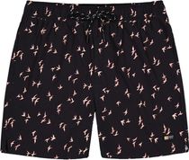 Barts Sintral Shorts