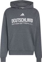 adidas DBB Basketball Graphic Hoodie