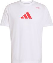 adidas Climacool Category Training Graphic T-shirt