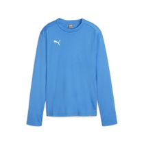 Teamgoal Training Sweat Wmn
