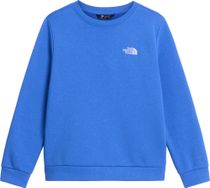 The North Face Teen Evolution Simple Dome Crew