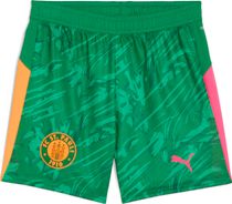 Fcsp GK Shorts Jr