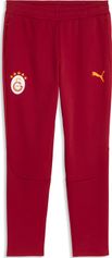 Puma GSK Evostripe Pants Herren Outdoorhose