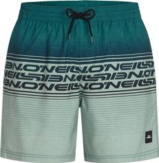 O'Neill O'neill Logo Stripe 16'' Swimshorts Herren Bademode