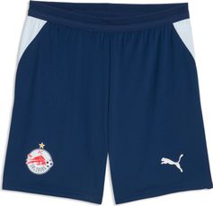 Puma RBS Shorts Replica Outdoor Shorts für Herren