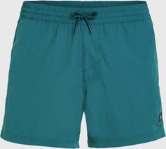 O'Neill Jack O'neill Vert Retro 14'' Swim Shorts Herren Bademode