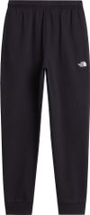 The North Face Mens Evolution Simple Dome Regular Jogger Herren Outdoorhose
