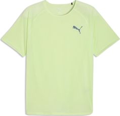 Puma M Lightspeed SS Herren Laufshirt