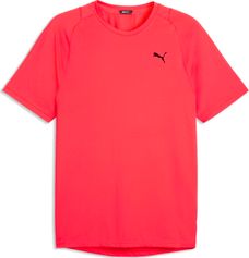 Puma M Pwrmode Tee Herren Laufshirt