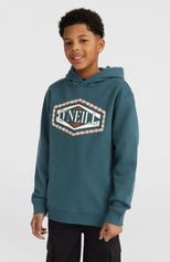 O'Neill Front Print Hoodie