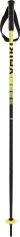 Völkl Speedstick JR Poles