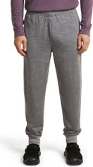 Icebreaker M Mer 200 Shifter Pants Herren Lauf- & Trainingshose