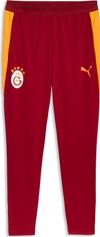 Puma GSK Training Pants w Pockets Herren Outdoorhose