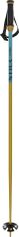 Völkl Phantastick 18MM Poles