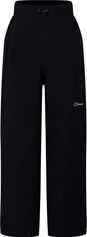 Berghaus Hillwalker 2.0 Pant AF Damen  Outdoorhose