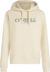 O'Neill Graphic Hoodie