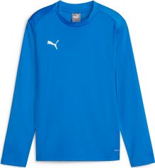 Puma Teamgoal Training Sweat Jr