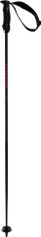 Völkl Rentastick Carbon Poles Skistöcke