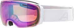 Alpina Granby Q Unisex Skibrille