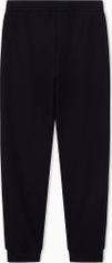 EA7 Train Premium Label M Pants CH PL VI ST - Train Premium Label M Pants CH PL VI ST Herren Lauf- & Trainingshose